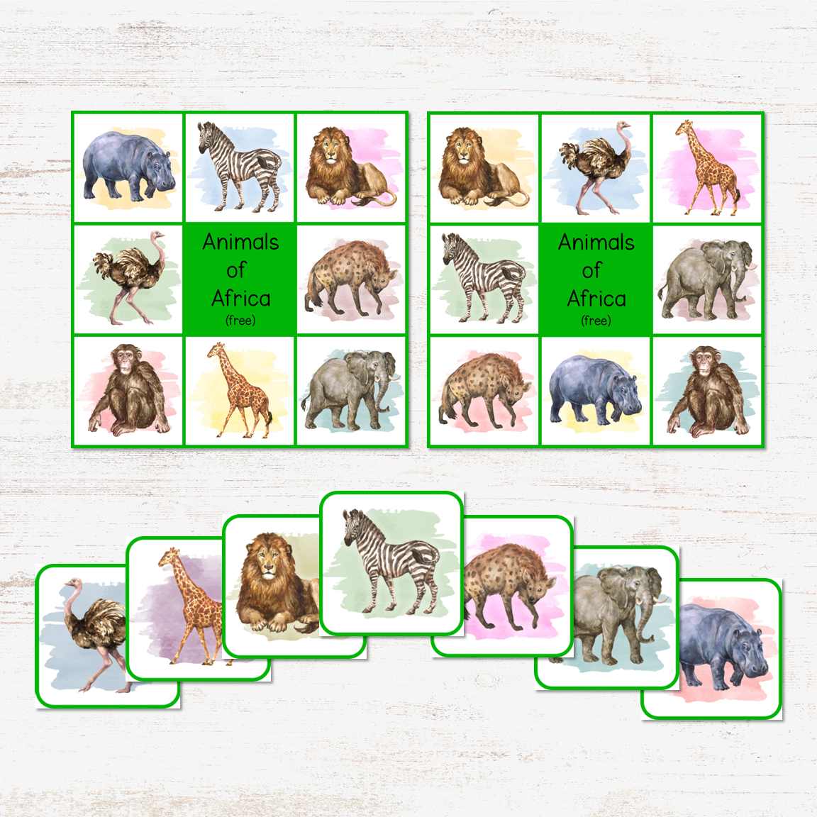 Africa in a Nutshell