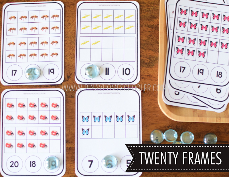 Safari Toob Insect Preschool Kindergarten Learning Pack