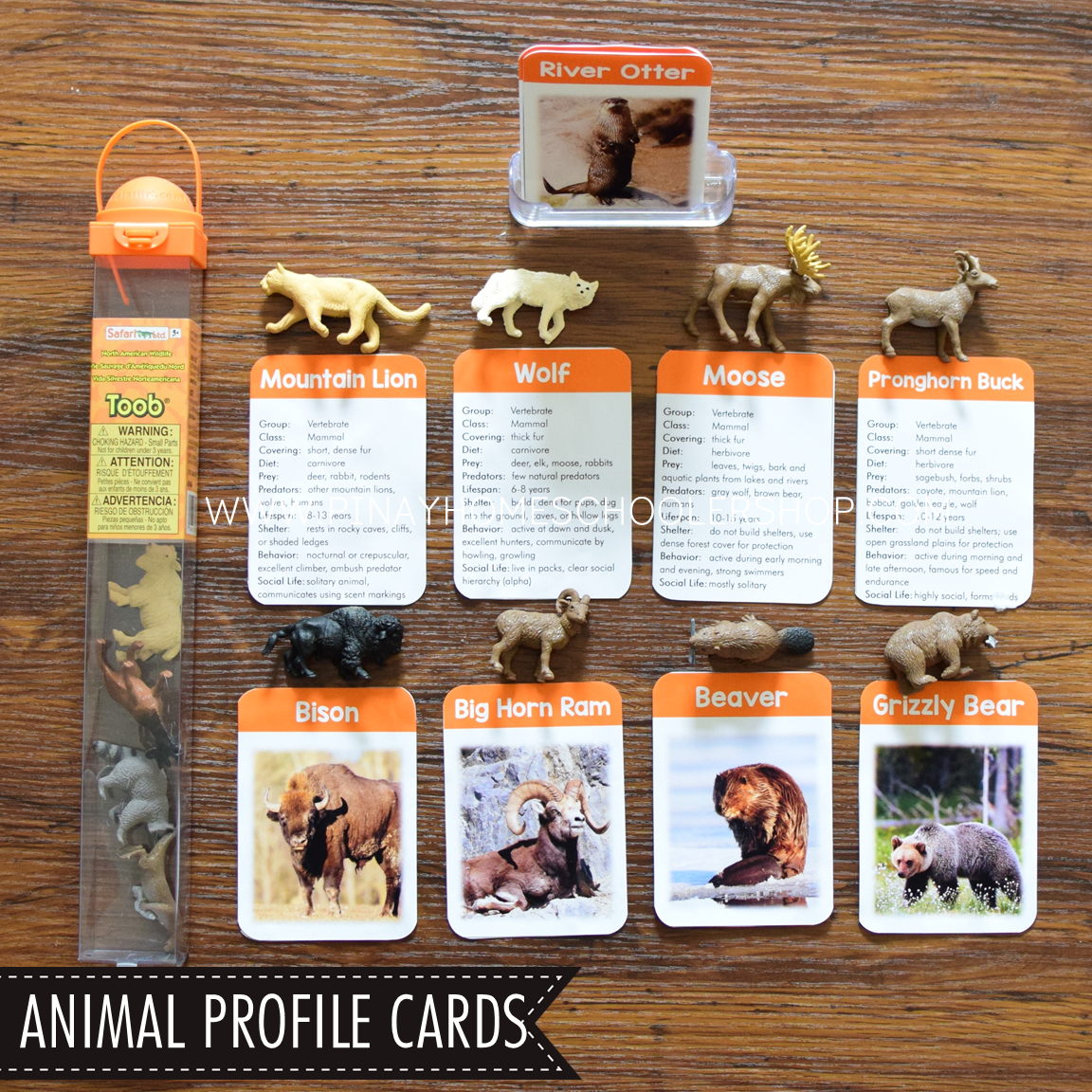 North America Toob Activity Pack - Safari Toob