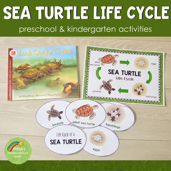 Sea Turtle Life Cycle - Preschool & Kindergarten Science Centers