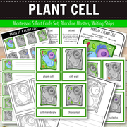 Parts of a Plant Cell Montessori 3 Part Cards | 4 Part Cards