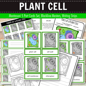 Parts of a Plant Cell Montessori 3 Part Cards | 4 Part Cards