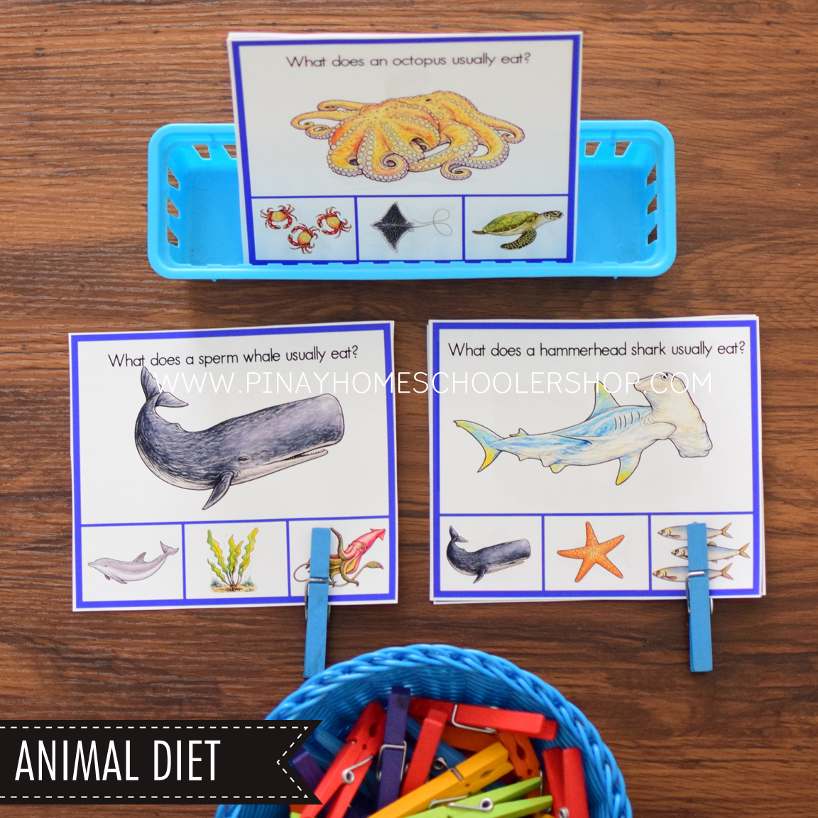 Ocean Animals Activity Pack - Safari Toob