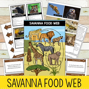 Savanna Biome Food Web and Food Chains Learning Pack