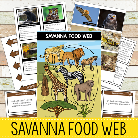 Savanna Biome Food Web and Food Chains Learning Pack