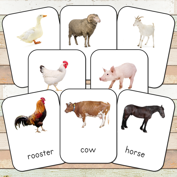 300+ Safari Toobs Montessori Cards Bundle