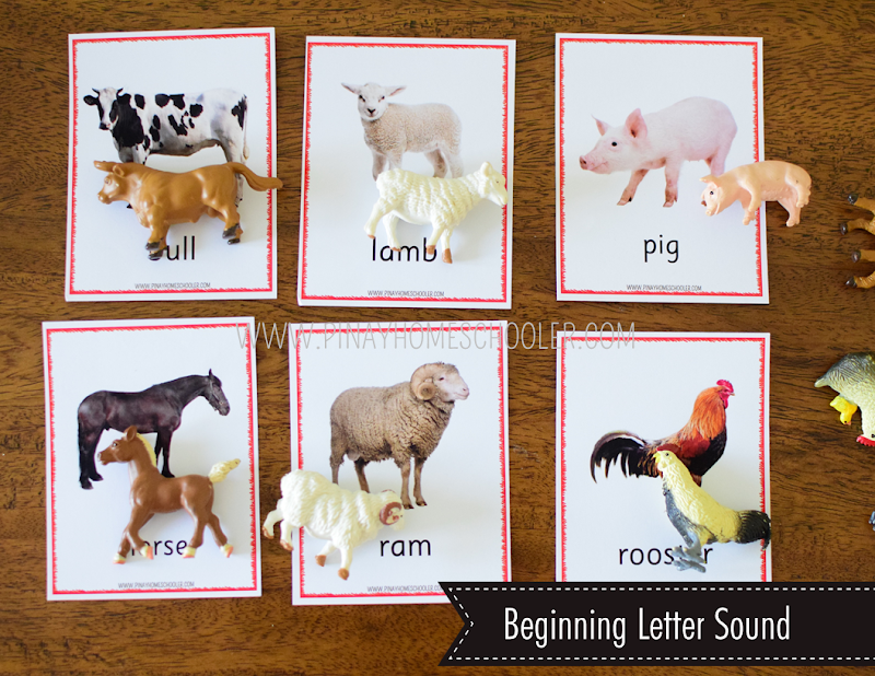 Safari Toob Farm Preschool Kindergarten Activity Pack