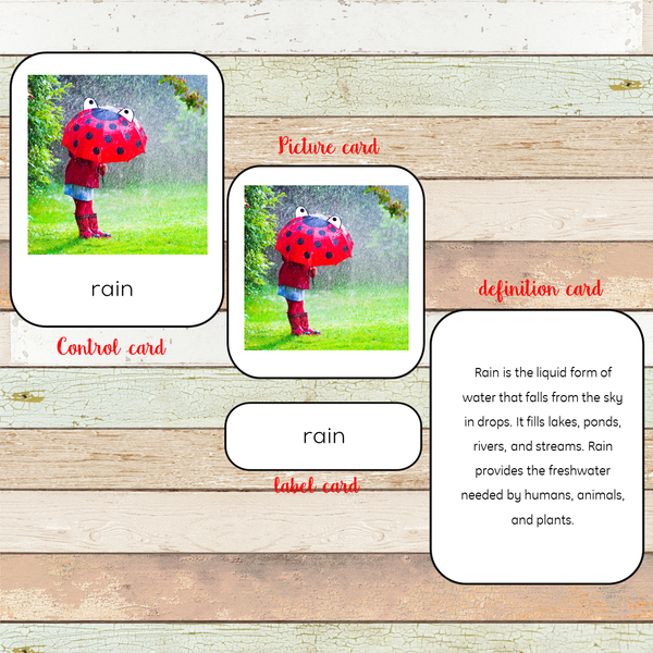 Weather Montessori 3 Part Cards and Definitions