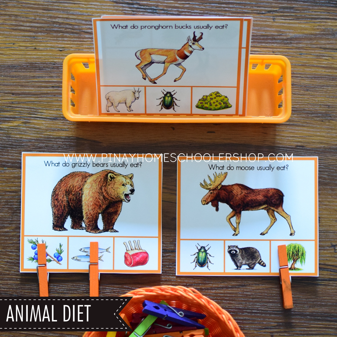 North America Toob Activity Pack - Safari Toob