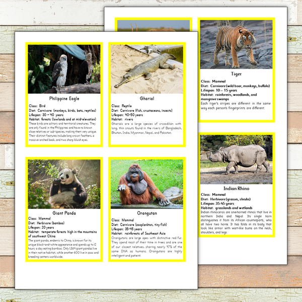 Montessori Asian Animals Toob 3 Part Cards [EDITABLE]