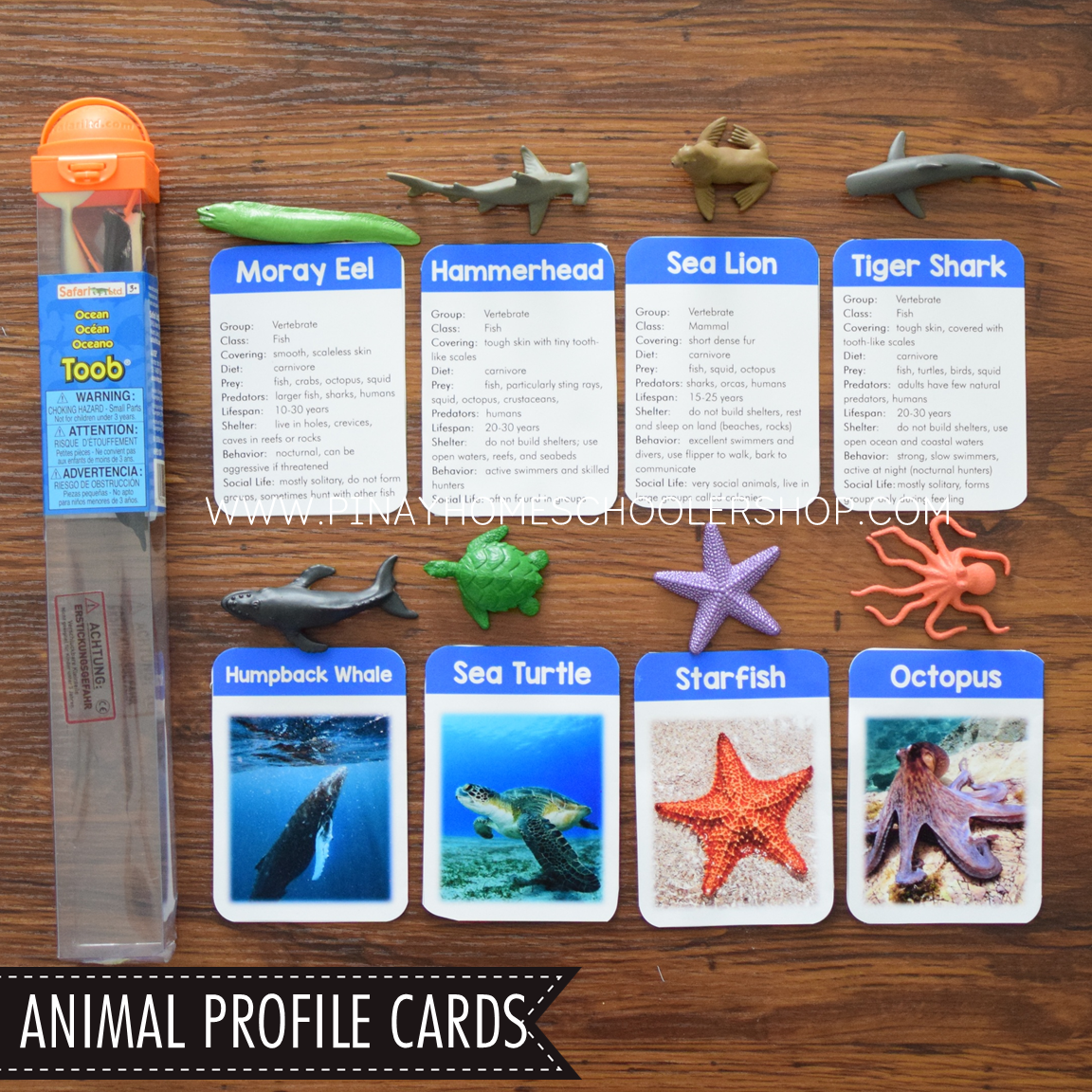Ocean Animals Activity Pack - Safari Toob