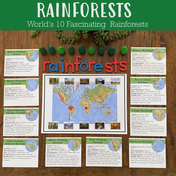 Rainforests - World's 10 Fascinating Rainforests