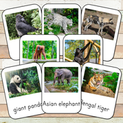 Montessori Endangered Land Species Toob 3 Part Cards [EDITABLE]