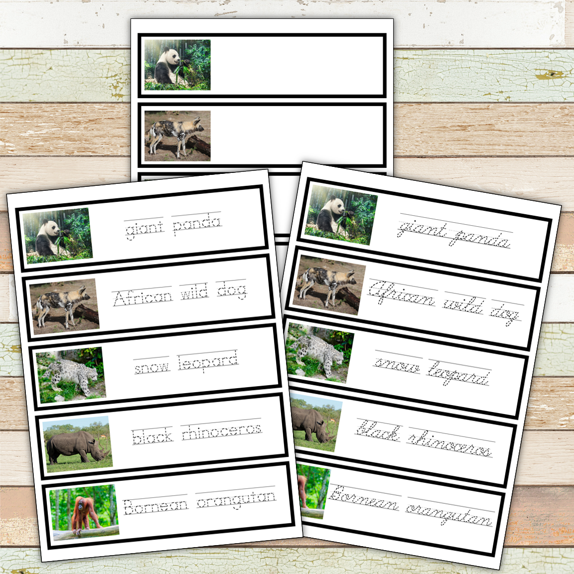 Montessori Endangered Land Species Toob 3 Part Cards [EDITABLE]