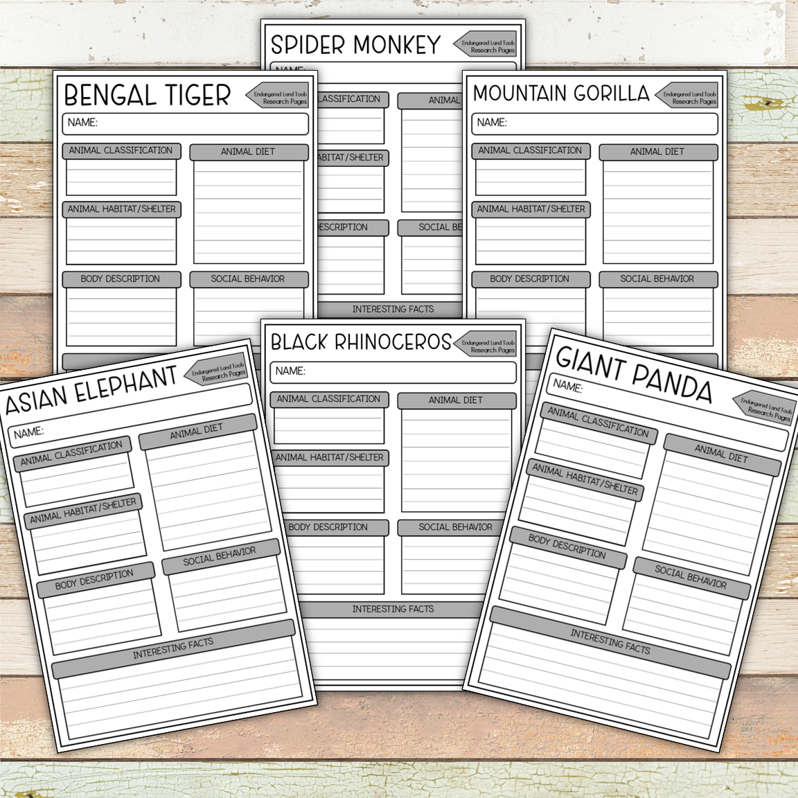 Montessori Endangered Land Species Toob 3 Part Cards [EDITABLE]