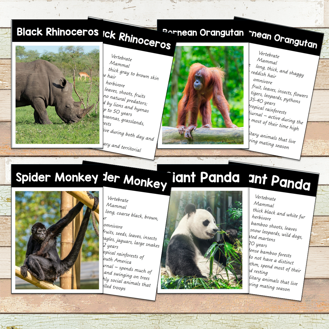 Montessori Endangered Land Species Toob 3 Part Cards [EDITABLE]