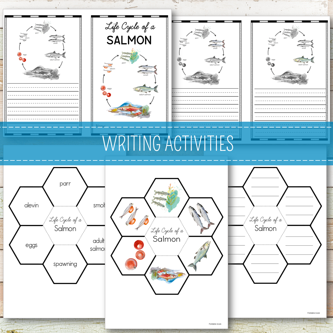 Salmon Life Cycle Activity Set