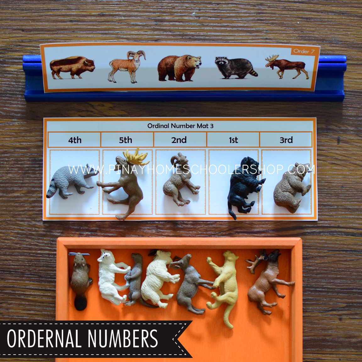 North America Toob Activity Pack - Safari Toob