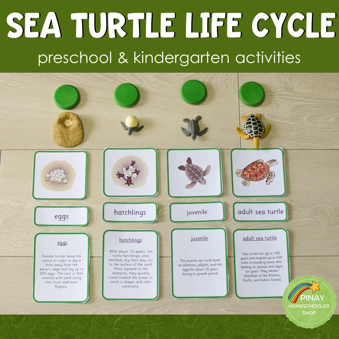 Turtle Learning Center Sea Turtle Life Cycle - Preschool & Kindergarten Science Centers ...