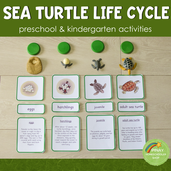 Sea Turtle Life Cycle - Preschool & Kindergarten Science Centers