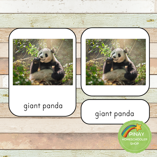 Montessori Asian Animals Toob 3 Part Cards [EDITABLE]
