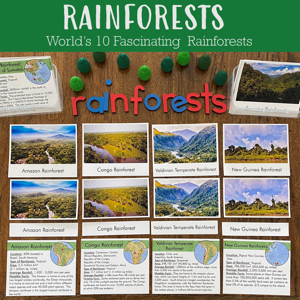 Rainforests - World's 10 Fascinating Rainforests