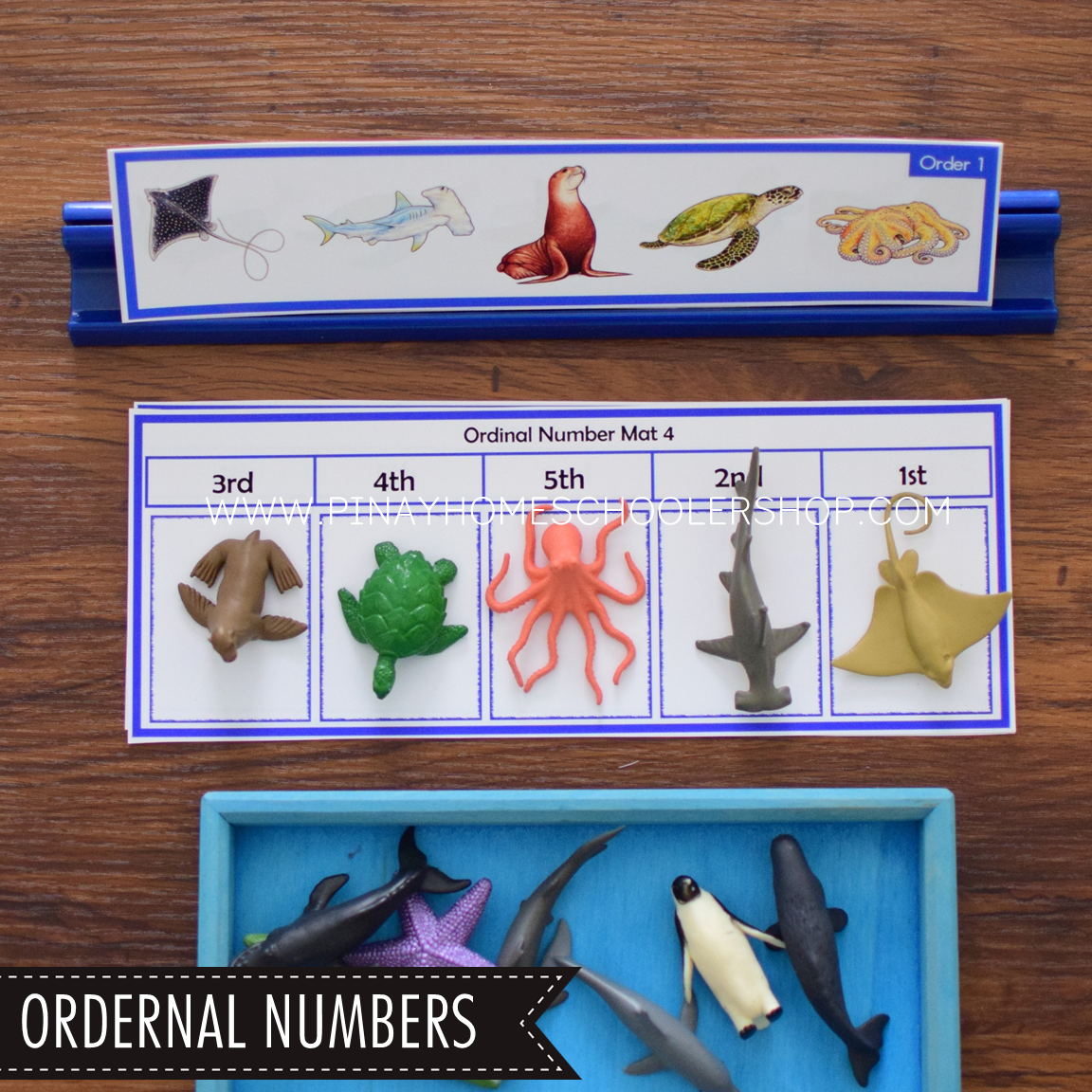 Ocean Animals Activity Pack - Safari Toob