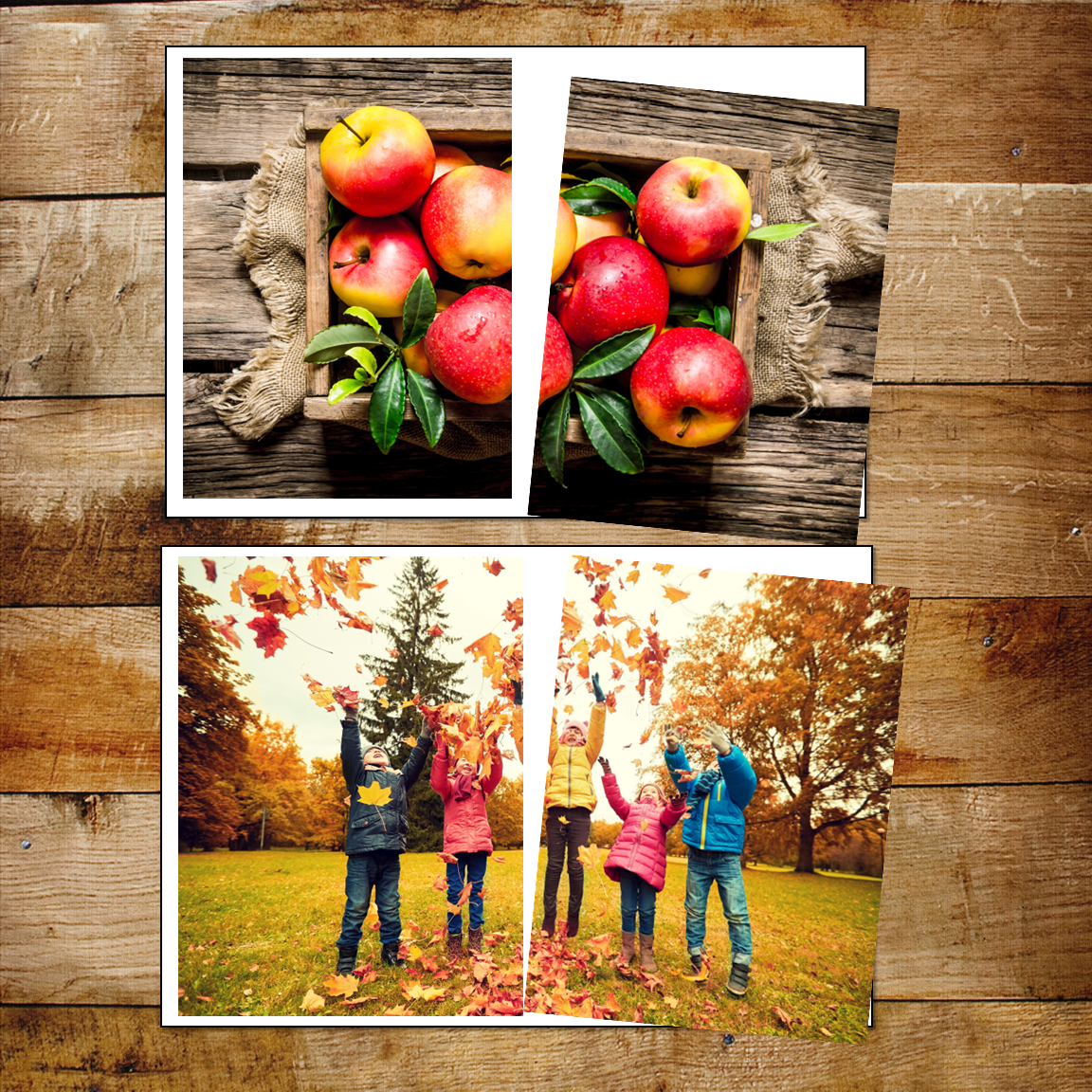 Autumn Fall Toddler Unit