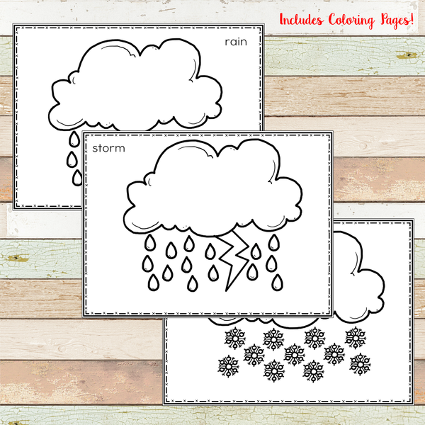 Weather Montessori 3 Part Cards and Definitions