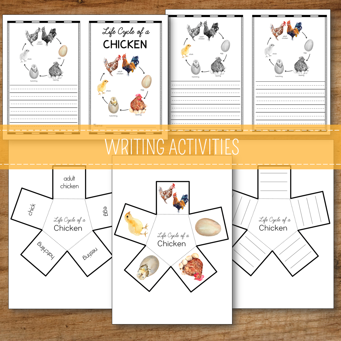 Chicken Life Cycle Montessori Inspired