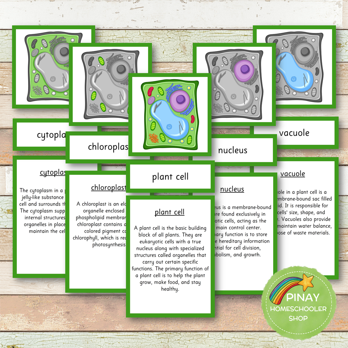 Parts of a Plant Cell Montessori 3 Part Cards | 4 Part Cards