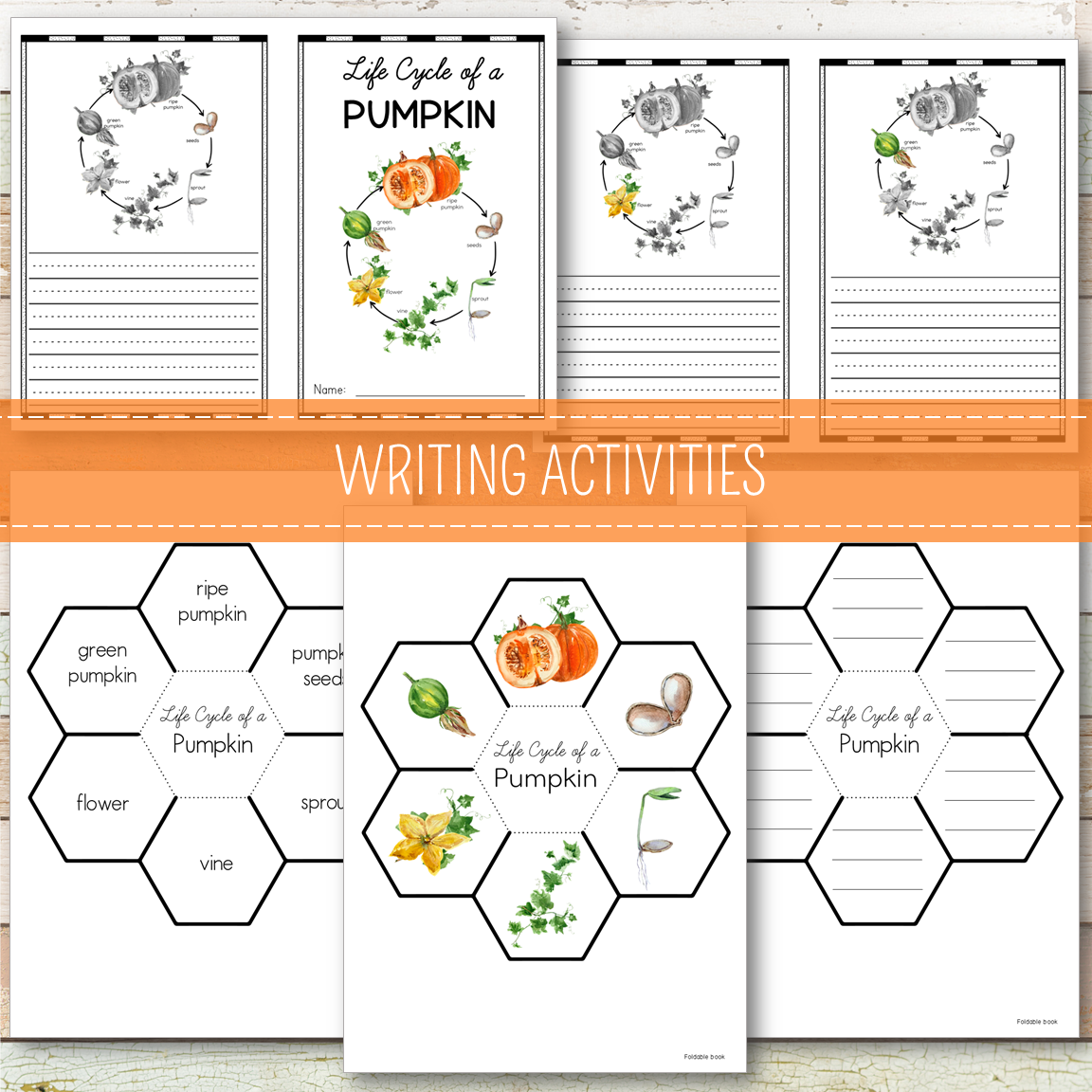 Pumpkin Life Cycle Set - Preschool & Kindergarten