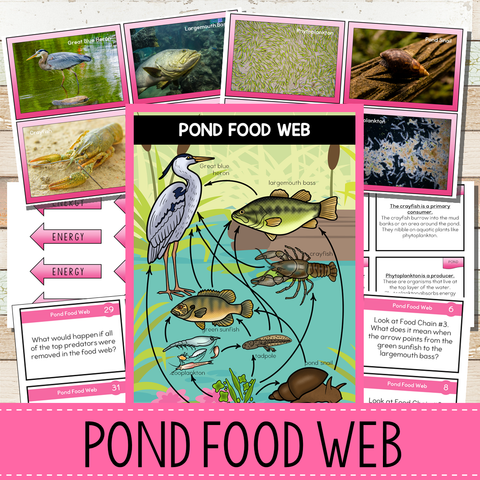 Pond Biome Food Web and Food Chains Learning Pack