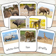Montessori South Africa Toob 3 Part Cards [EDITABLE]
