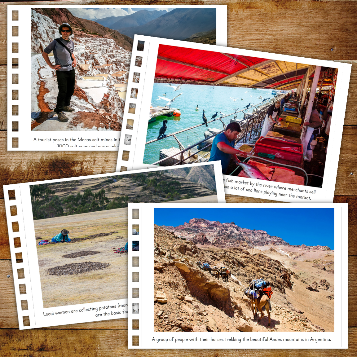 South America Montessori Geography Folder - Photos