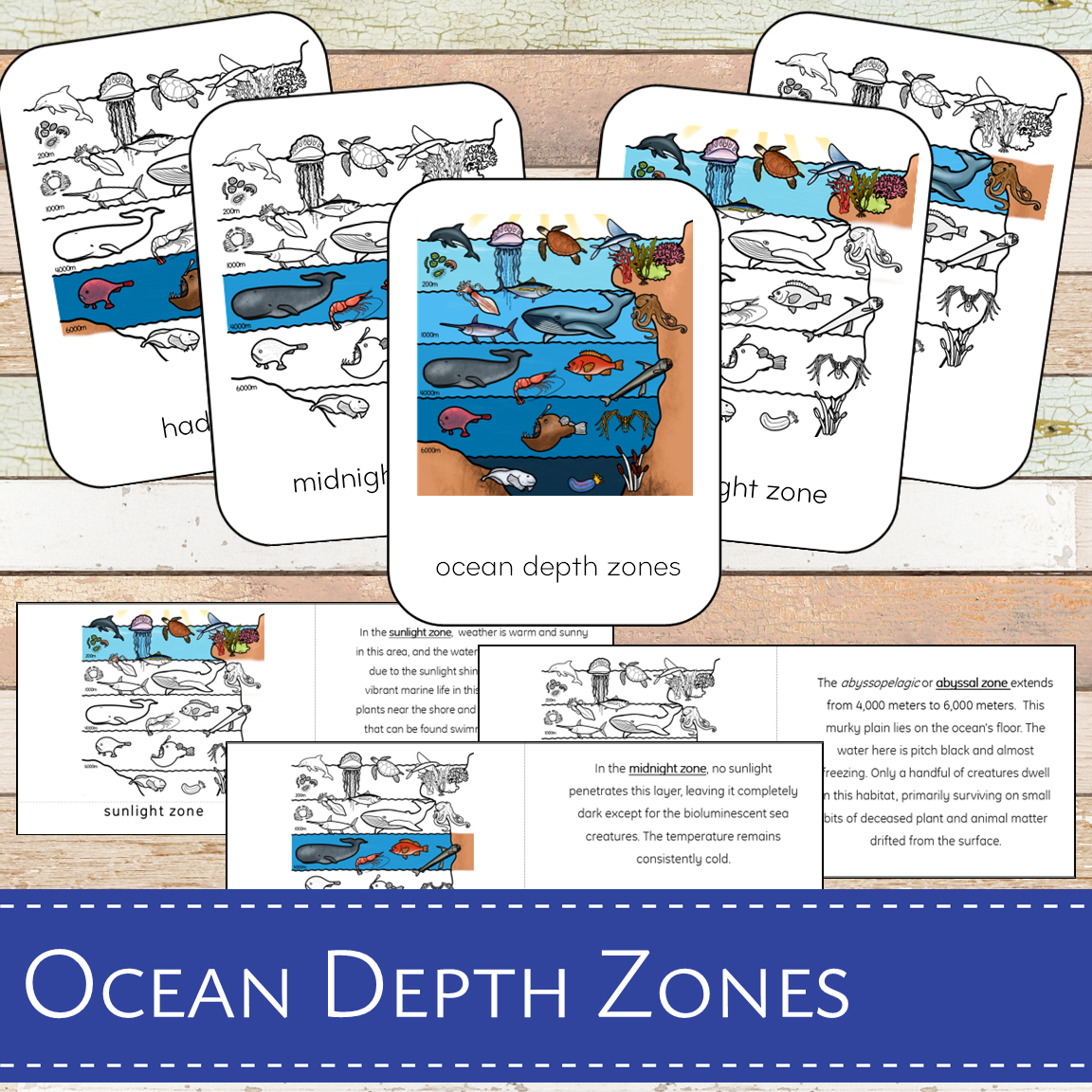 Ocean Depth Zones Montessori Cards