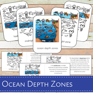 Ocean Layers Depth Zones Montessori Cards