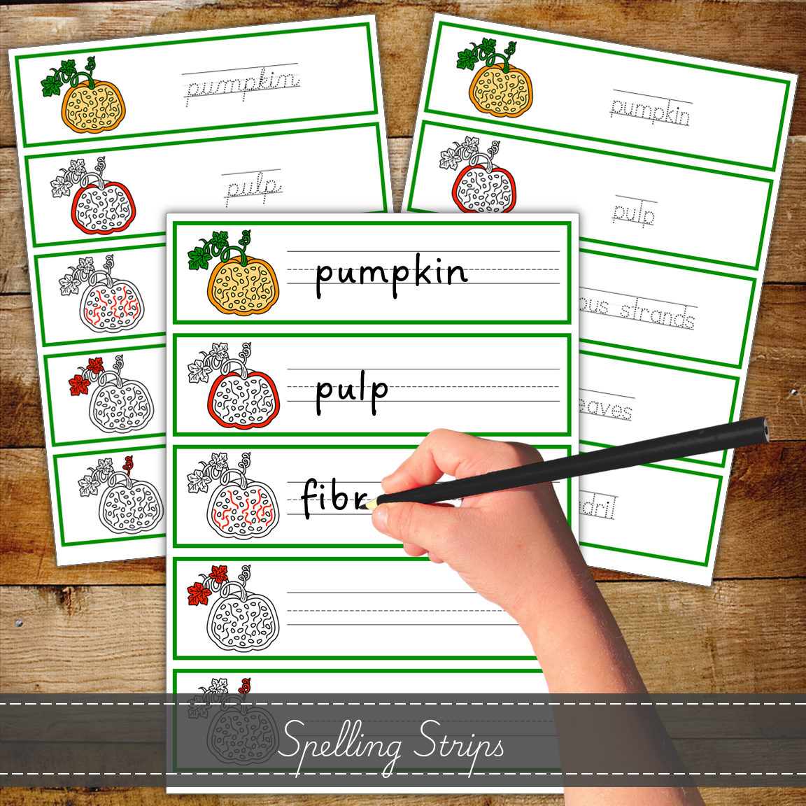 Parts of a Pumpkin - Montessori Inspired