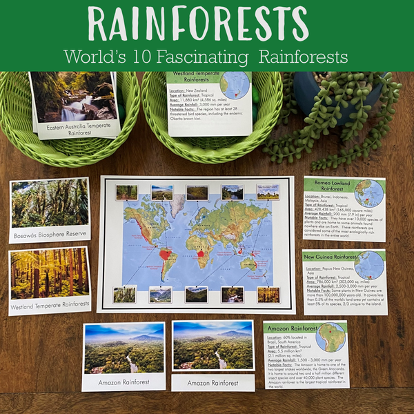 Rainforests - World's 10 Fascinating Rainforests