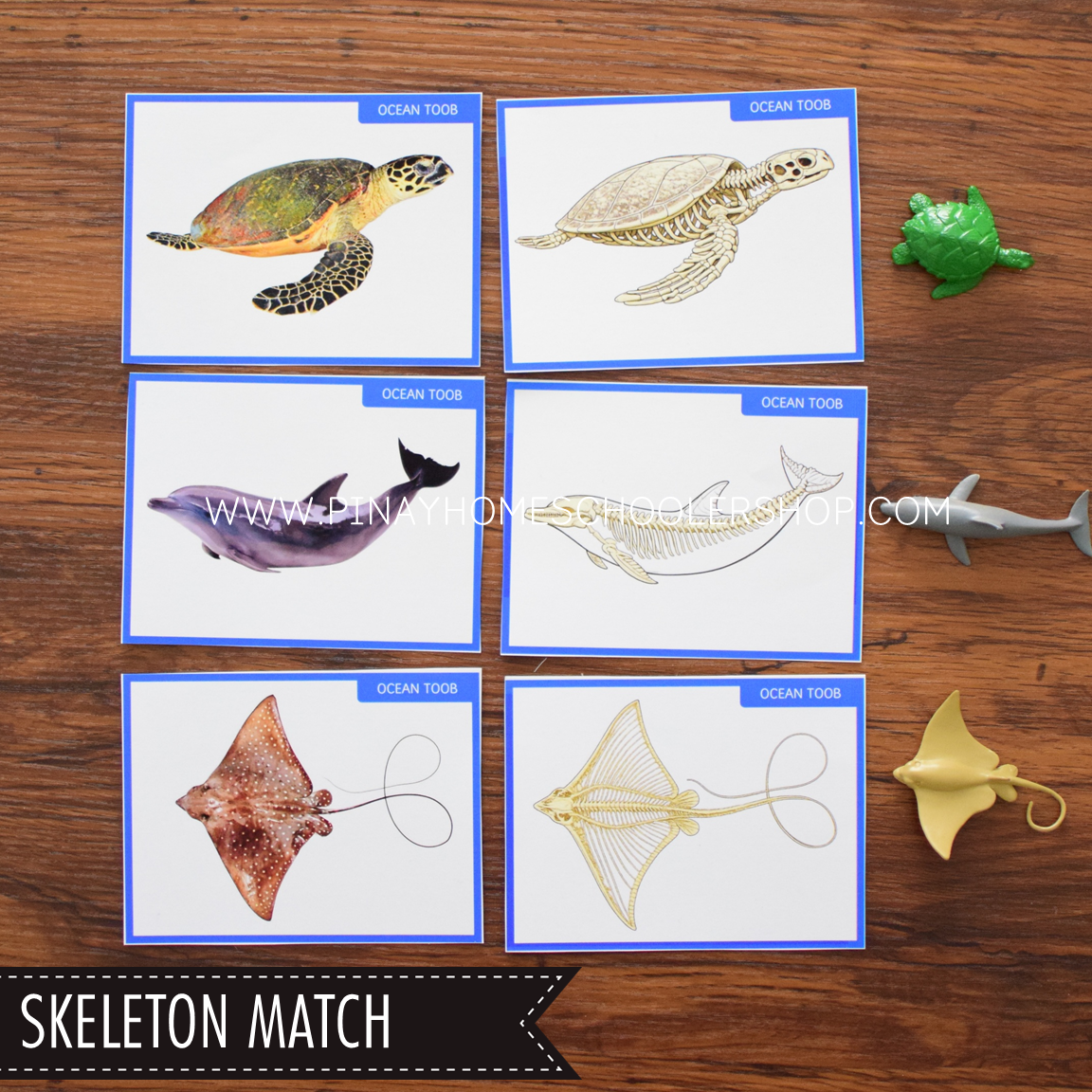 Ocean Animals Activity Pack - Safari Toob