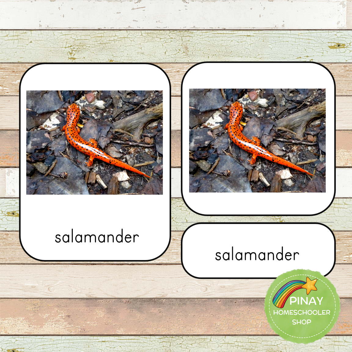 Montessori River Toob 3 Part Cards