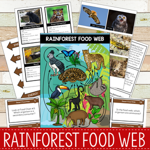 Rainforest Biome Food Web and Food Chains Learning Pack
