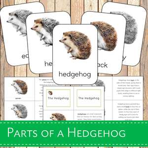 Montessori Parts of a Hedgehog 3 Learning Pack