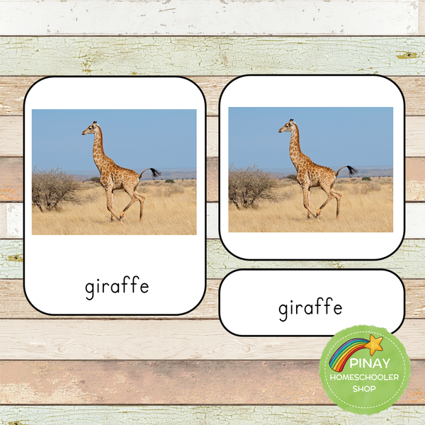 Montessori South Africa Toob 3 Part Cards [EDITABLE]