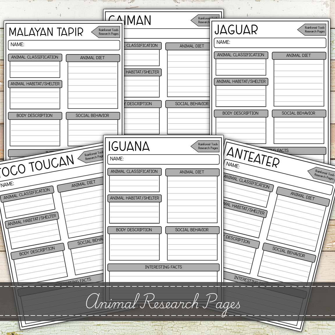 Montessori Rainforest Toob 3 Part Cards [EDITABLE]