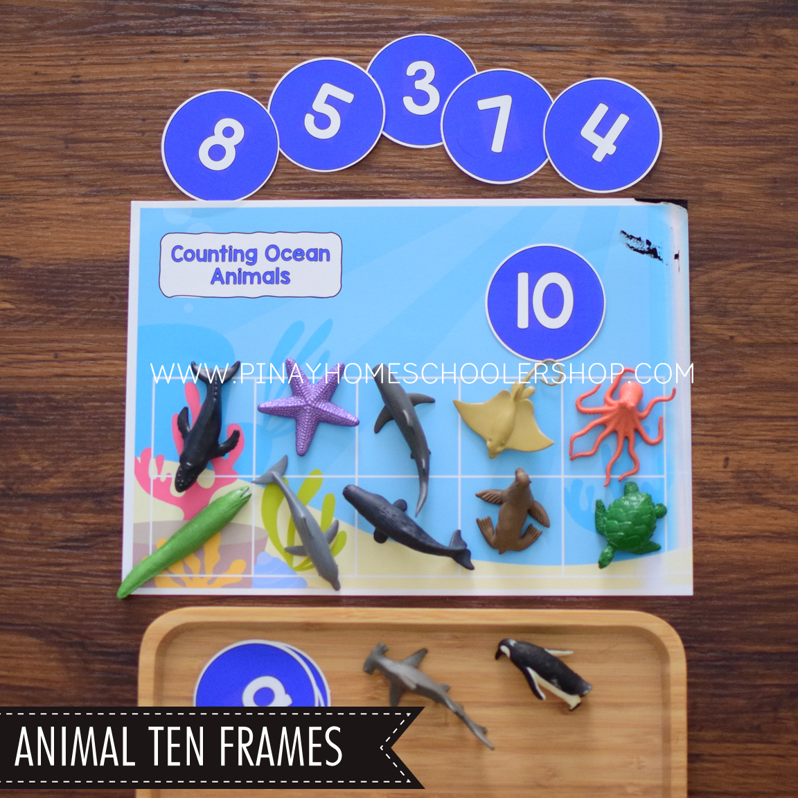 Ocean Animals Activity Pack - Safari Toob