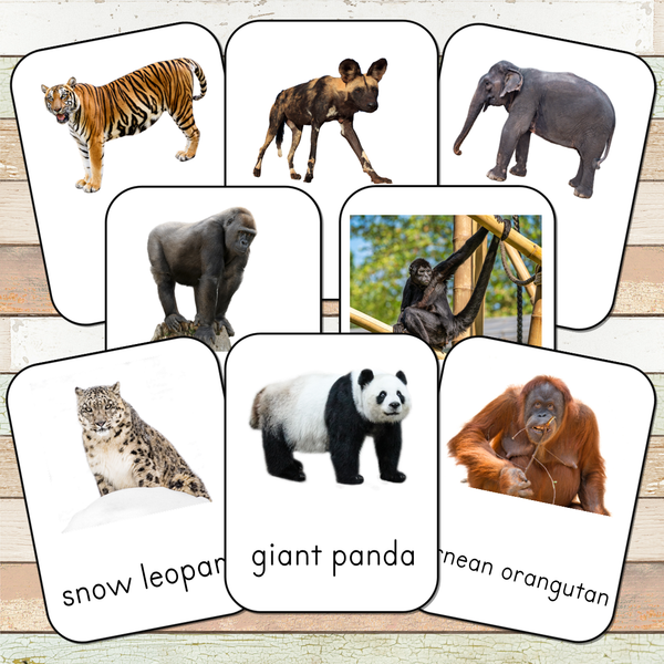 Montessori Endangered Land Species Toob 3 Part Cards [EDITABLE]