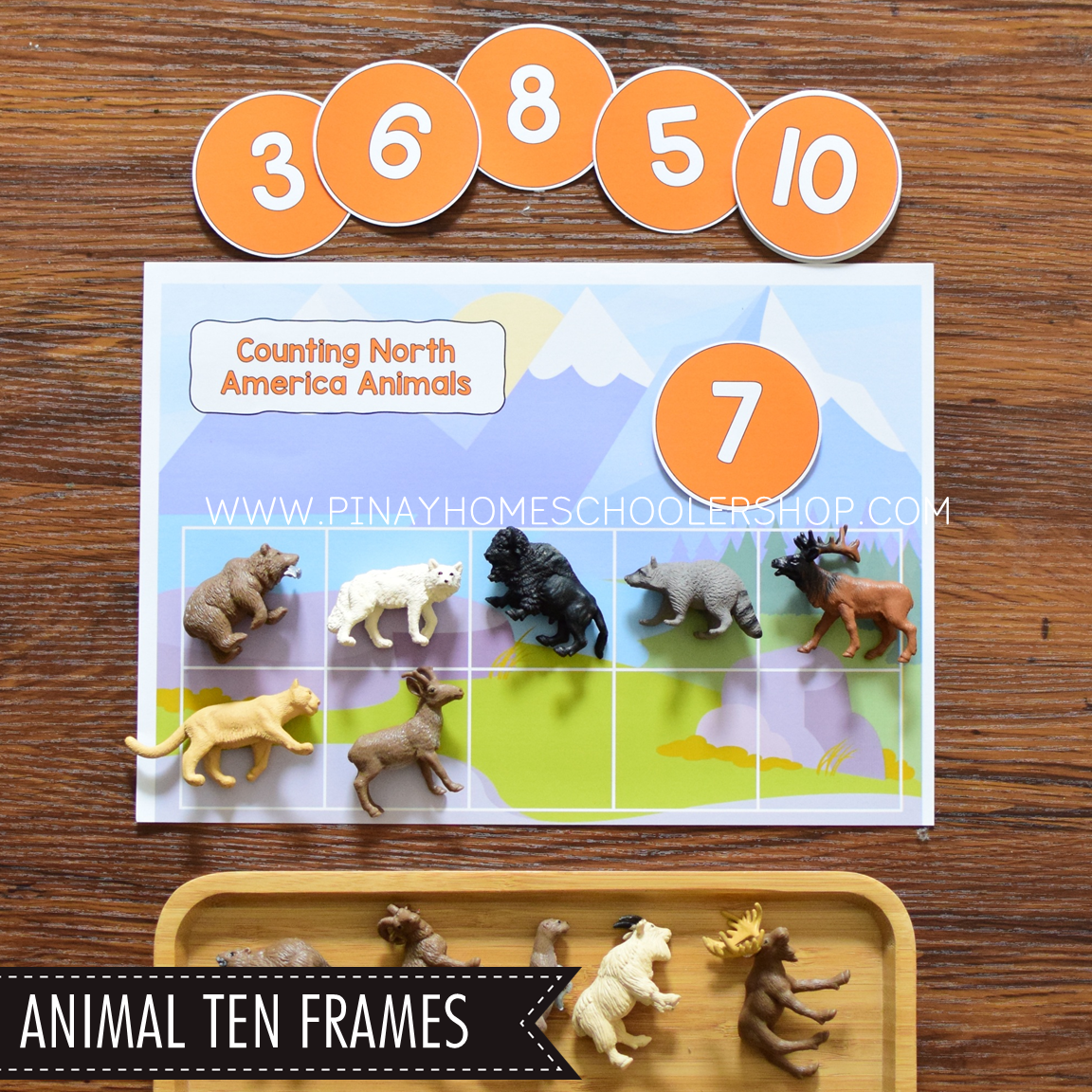 North America Toob Activity Pack - Safari Toob