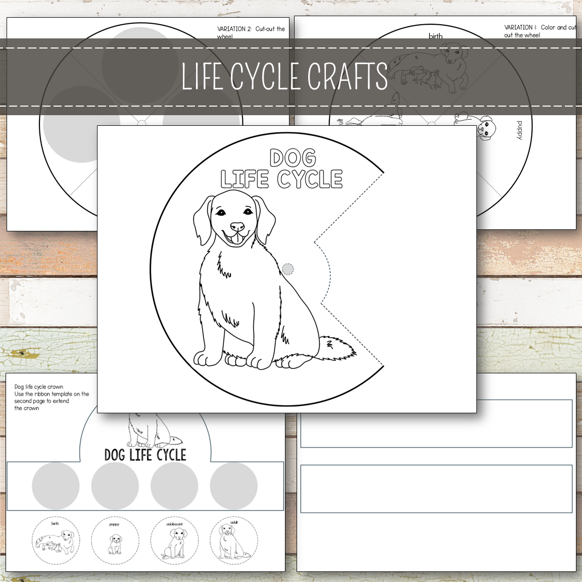 Dog Life Cycle - Montessori Inspired