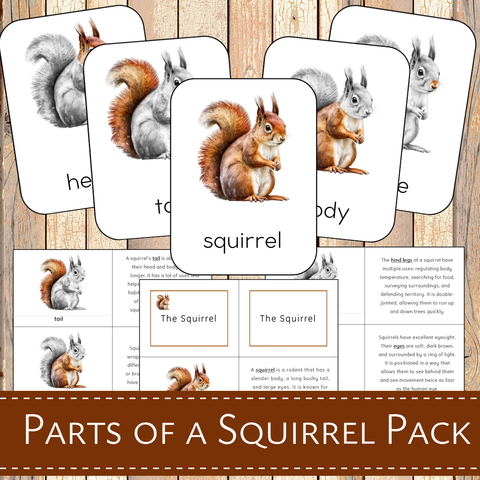 Montessori Parts of a Squirrel Learning Pack